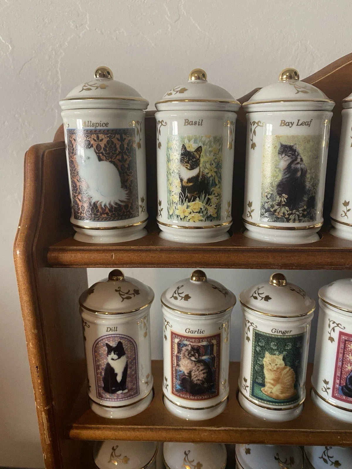 Lenox Cats of Distinction Spice Jar Collection 24 RARE FULL SET W/ Rack & Certif