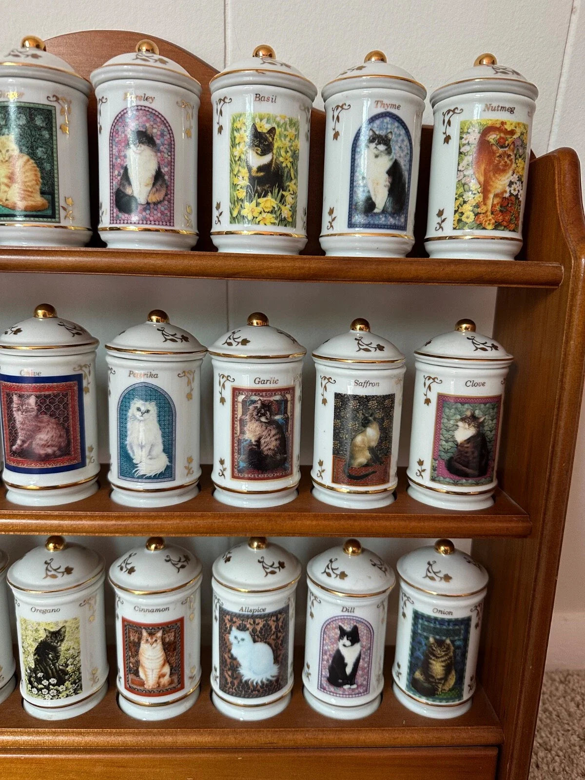 Complete Authentic 1995 Lenox Cats of Distinction Spice Jar Set with Rack