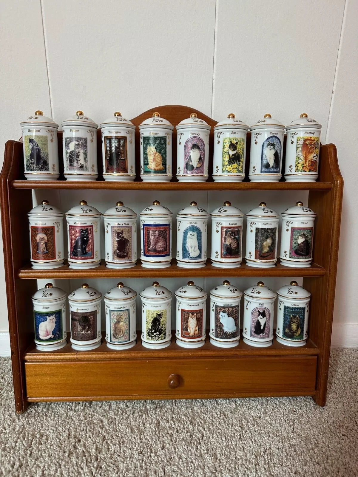 Complete Authentic 1995 Lenox Cats of Distinction Spice Jar Set with Rack