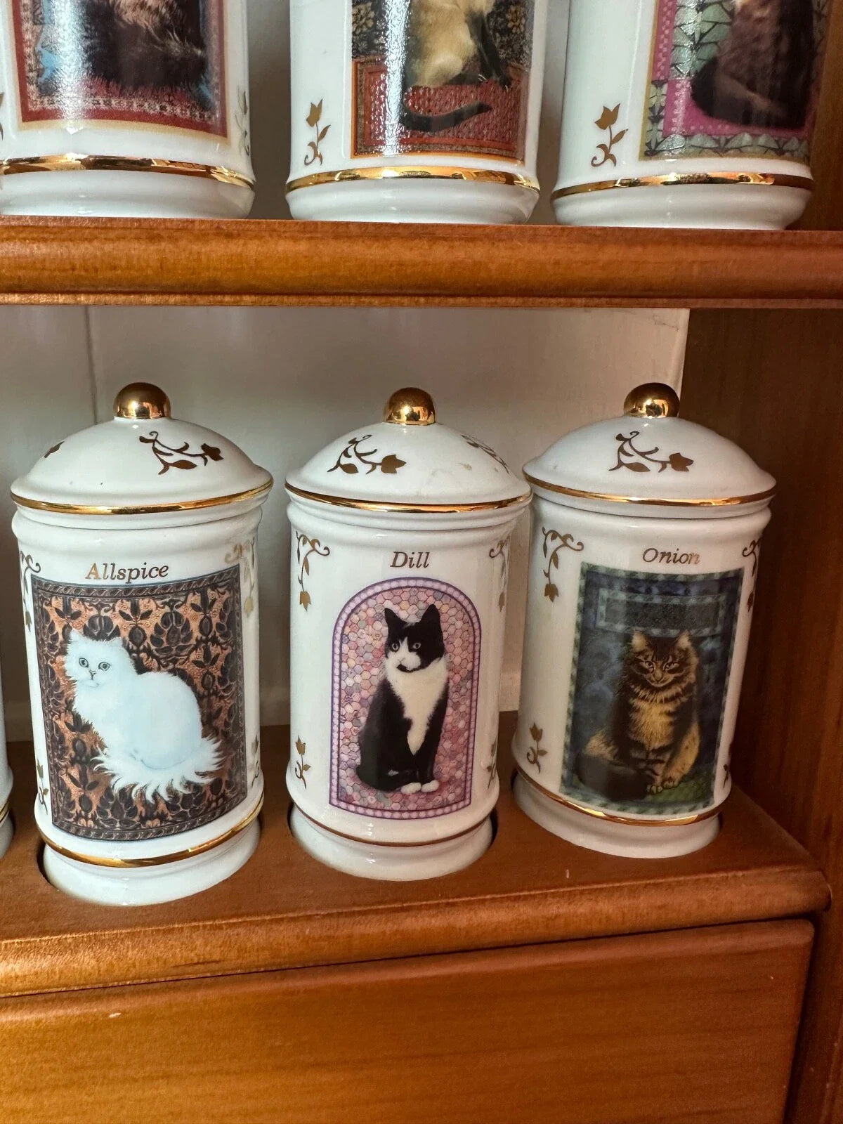 Complete Authentic 1995 Lenox Cats of Distinction Spice Jar Set with Rack
